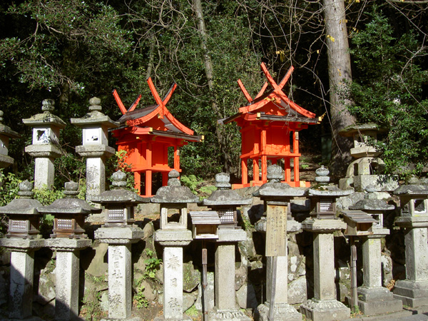PICT0493