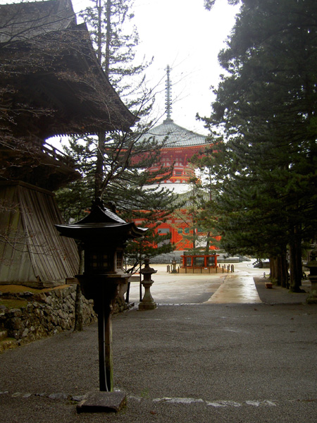 PICT0733