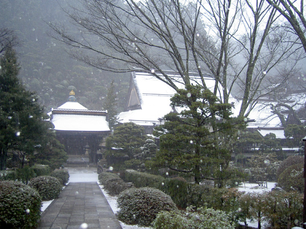 PICT0912
