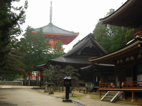 Photo 046