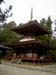 PICT0694