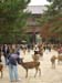 Photo 006