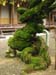 Photo 109_2